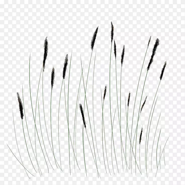 ���������ݽ���-������