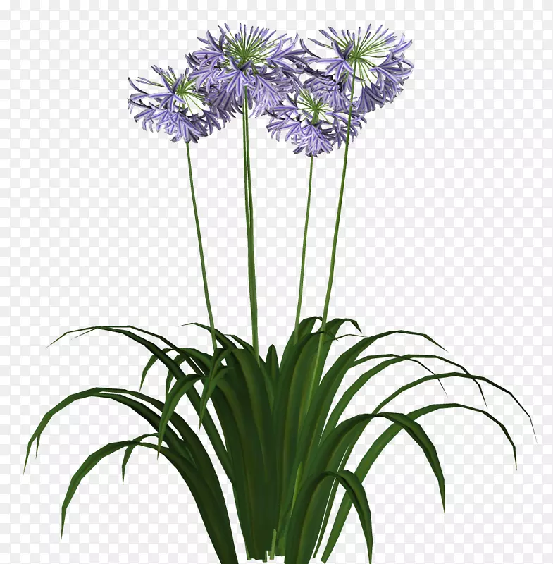 �������ͼ-������