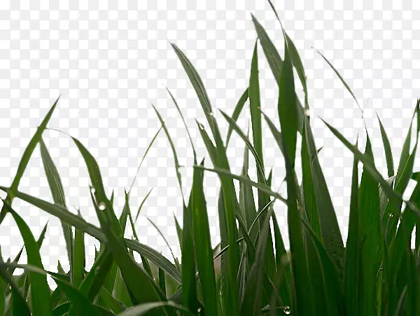 �����-������