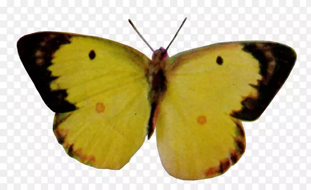 �����-������