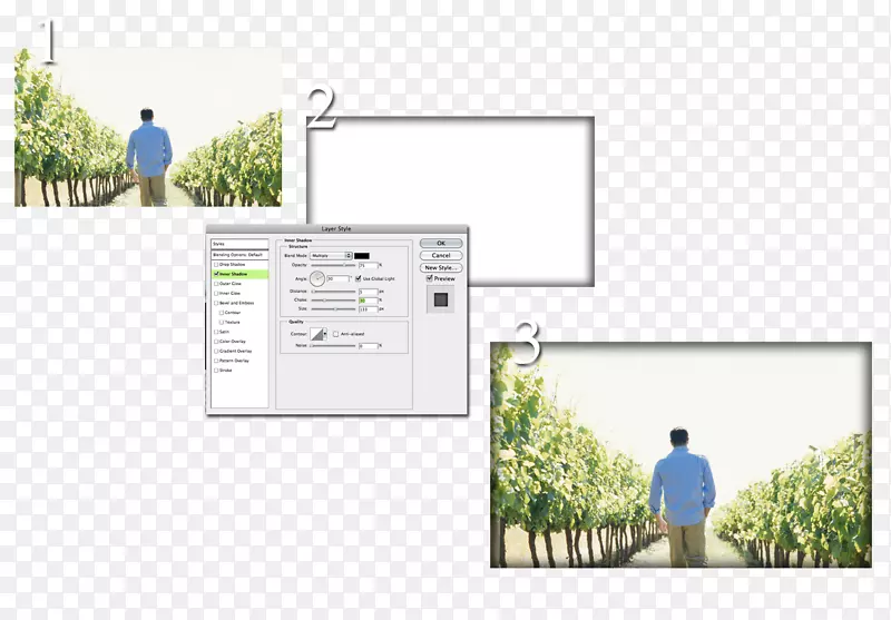 Ʒ����-���ⲽ��-������