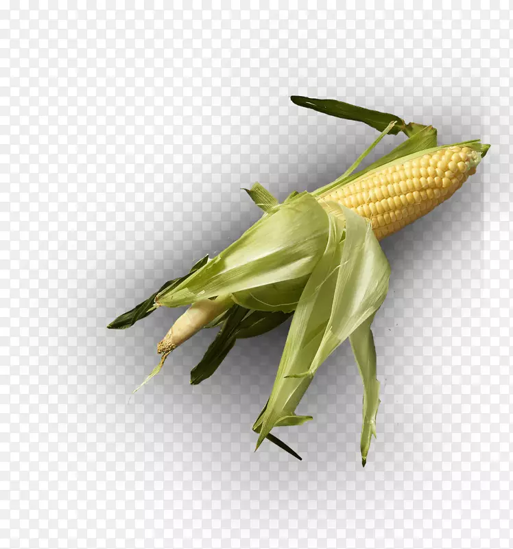 �ȳ����-�ȳ�-������