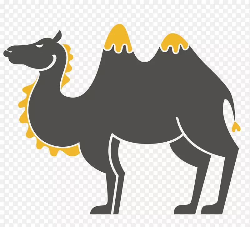 �Ű����������Ű�����������-ɳĮ���մ��������-������