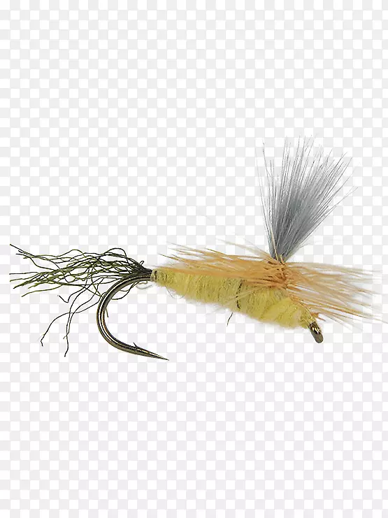 �����Ӭ-������