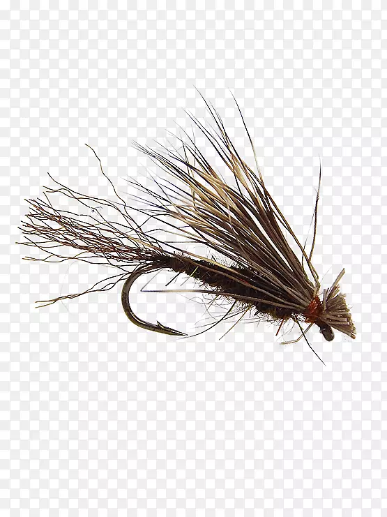 �˹�Ӭ��ɵ�����Ӭ����-������