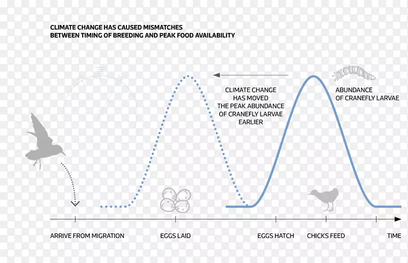 �������߽�-����-������