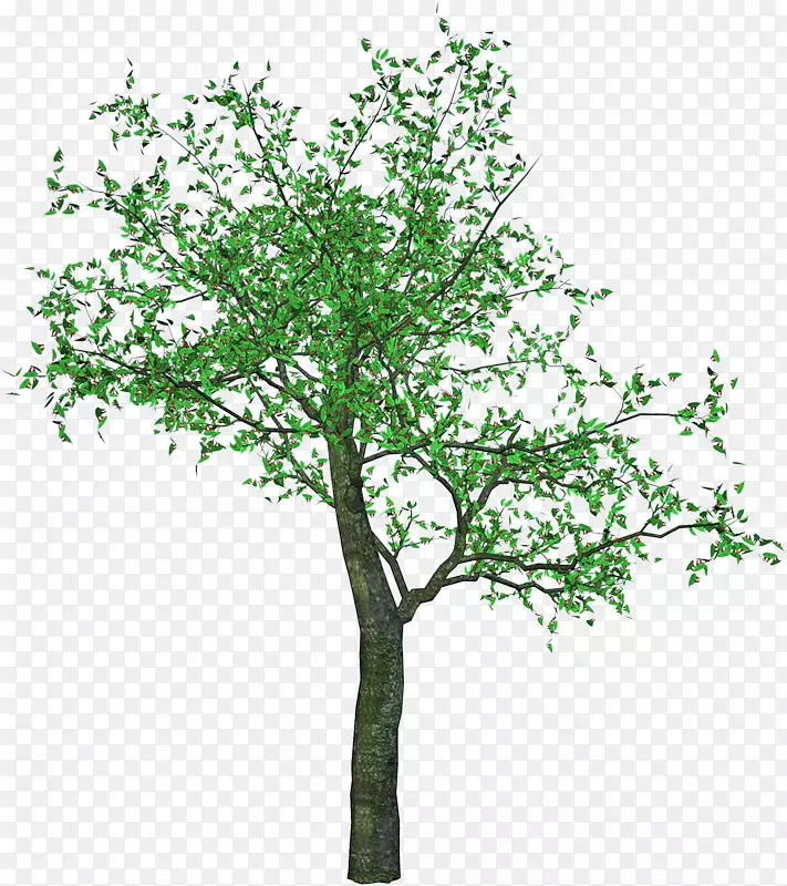 ӣ������-������-������