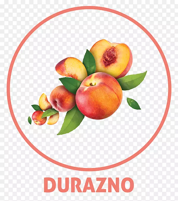 ��ˮ���ϣ�ƻ���ƣ�����-������ŵ-������