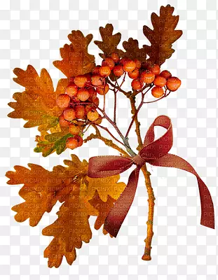 �＾�����ռ��������-����-������