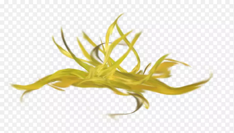 ��ɫ��ֽ-��ɫ��-������