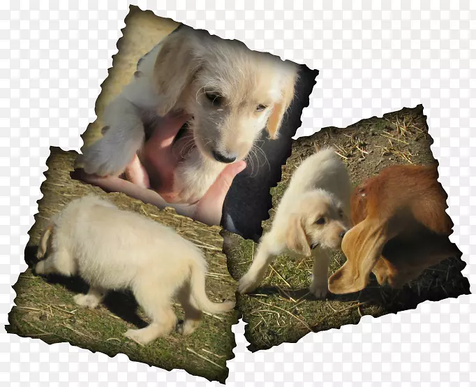 Ȯ�ֱ���Ұ��Ȯ-������