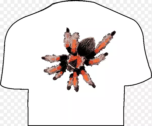 ��������Ŀ����-����-������