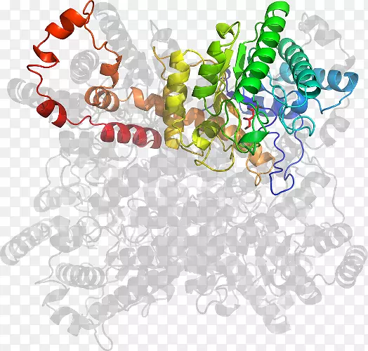 ���߼�����-��-������