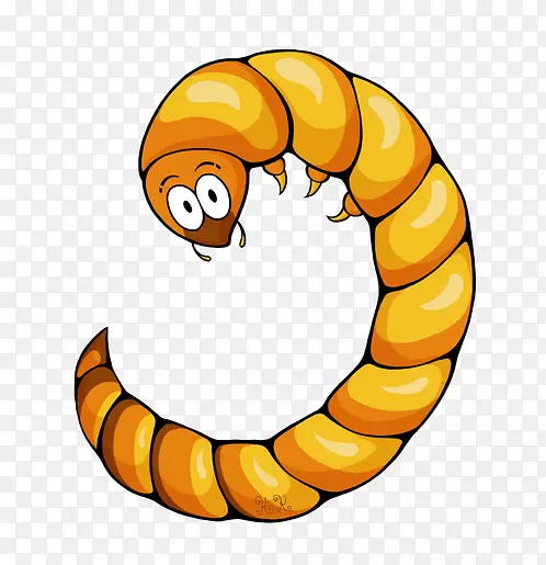 ʳ��������������-����-������