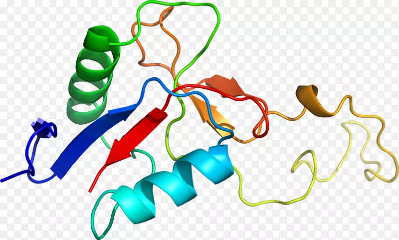 �ߵ������-��-������