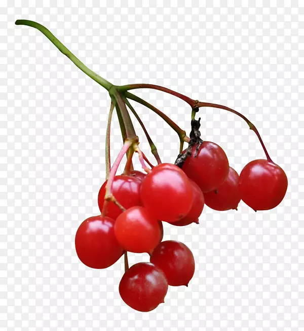 ��Խݮ������������㣬�ۺ�����ӣ��-������