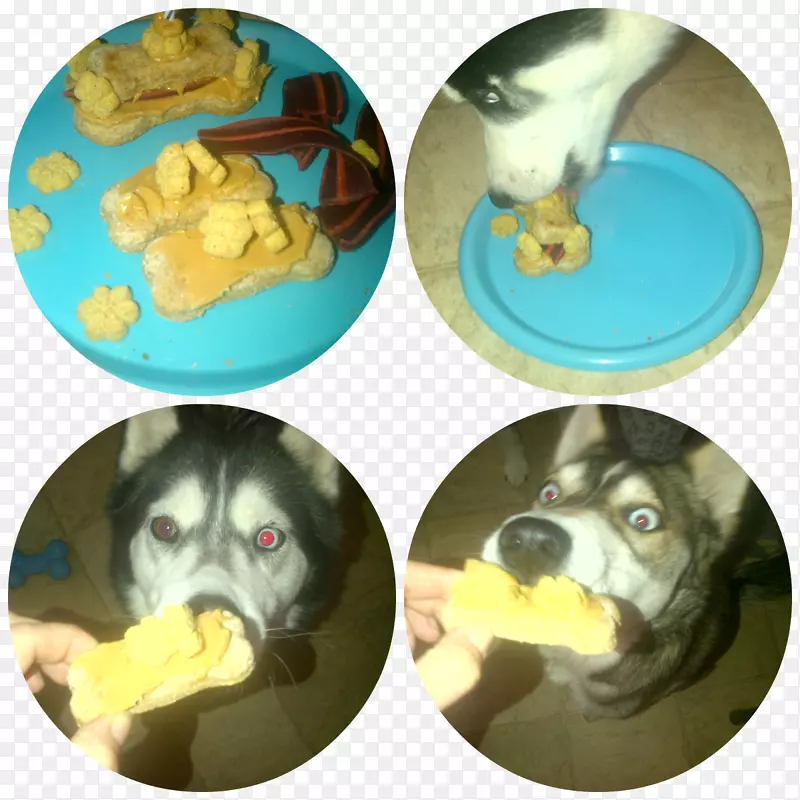 ����С������-С��-������