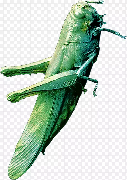 �����������Ĳ�ͼ-��������棬��������洴���Բ�ͼ-������