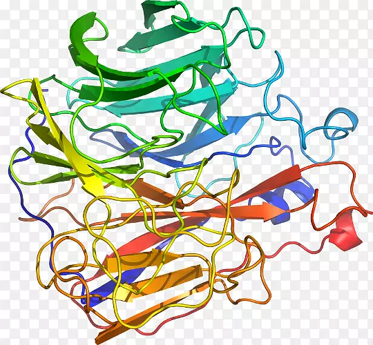 �ߵ������������-������