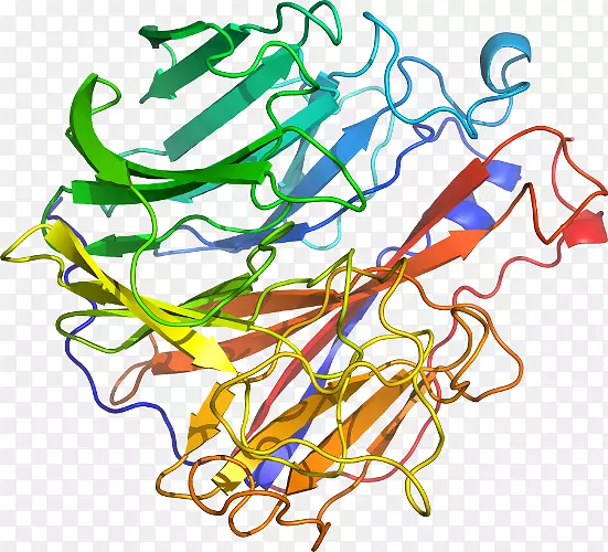 �ߵ������-��-������