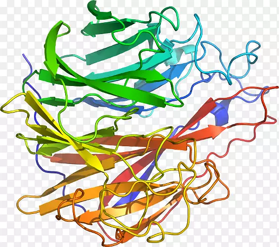 ֱ�ߵ�ֲ�ﾥ��������-������