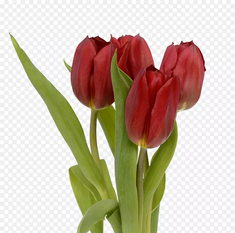 ��������-������