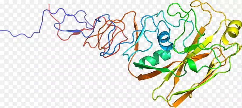 �ߵ������-��-������