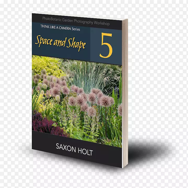 ��ƺ��԰ţϥ����ֲ��-������