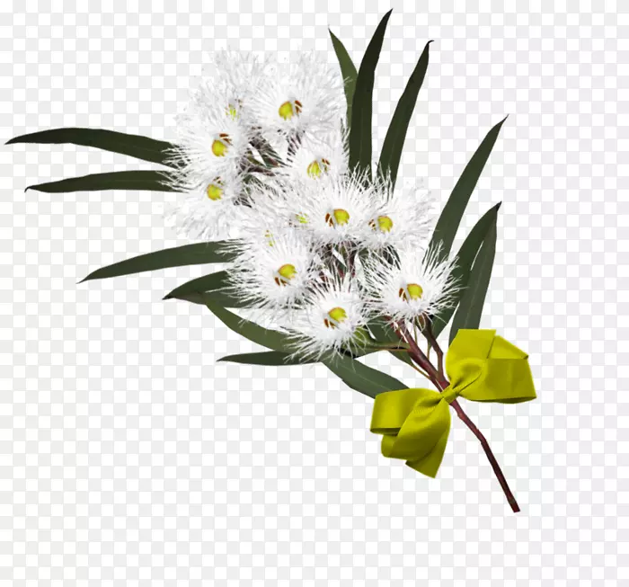 ������ƻ���������-��-������