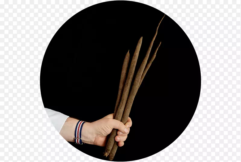 ��ָ�û�-������˹ɽ�Ĺ���-������