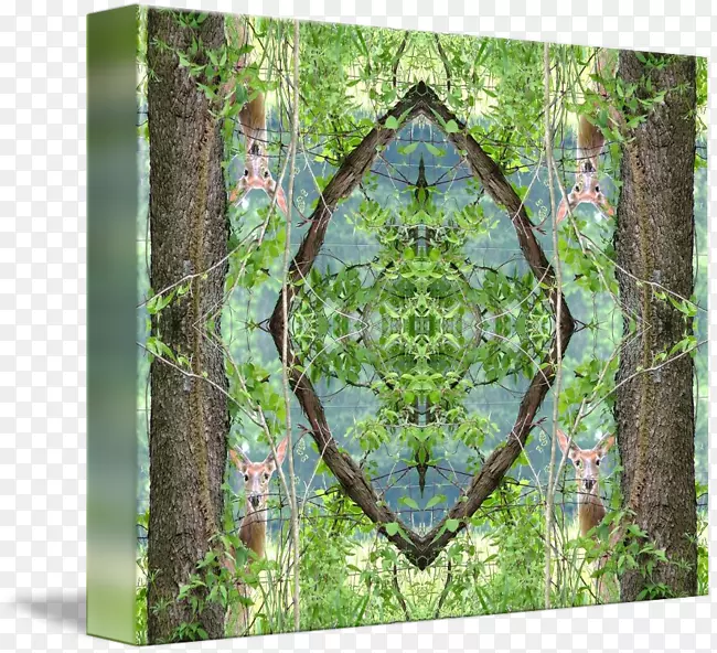 �Գ�ͼ��-pxe8re davids¹-������