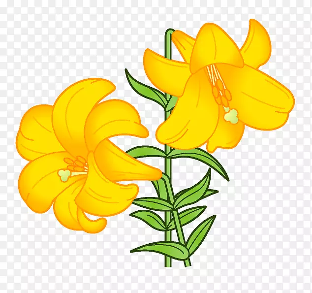 �ٺϻ����ͼ������-��-������