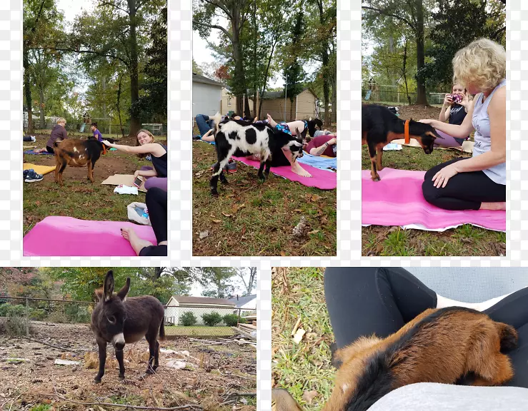 ������-������