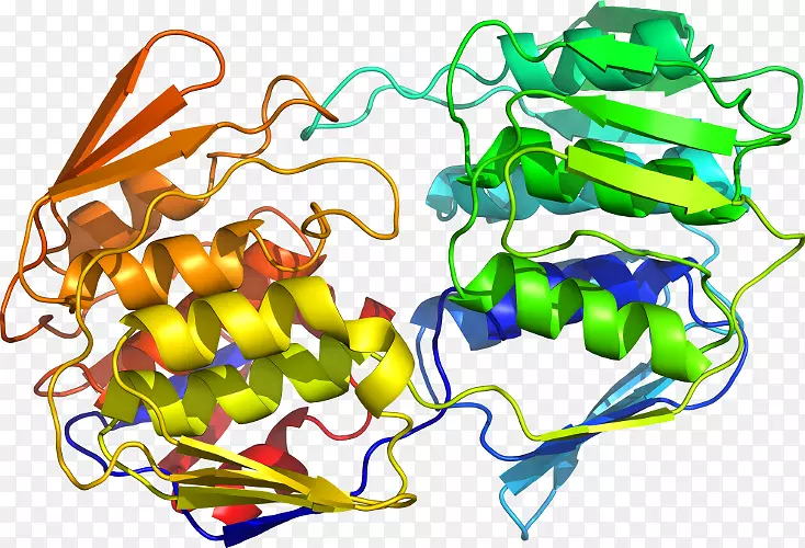 ����ֲ���л����߼�����-�߲�-������