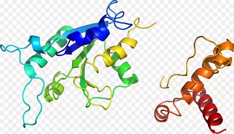 �ߵ������������-������