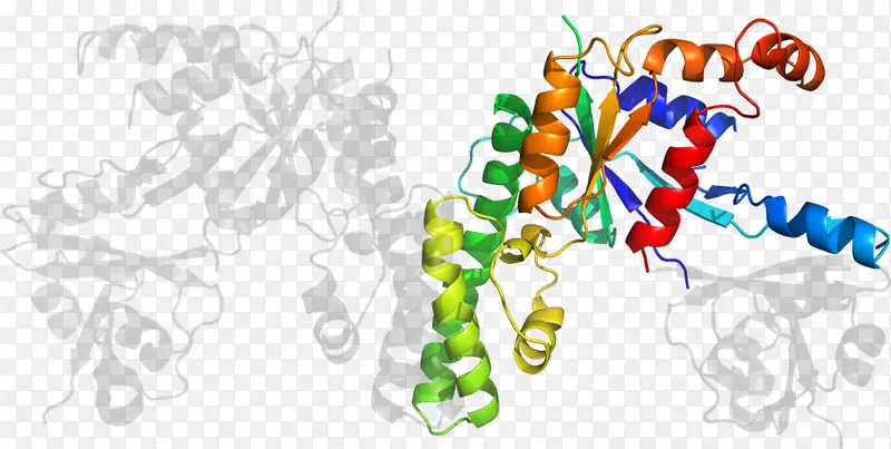 ���������鱦ϵ�м������鱦����-������