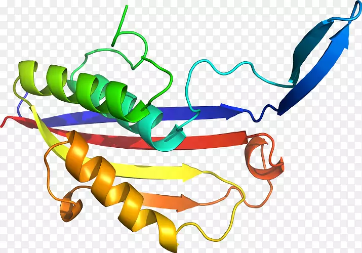 �ߵ������μ�����.��-������