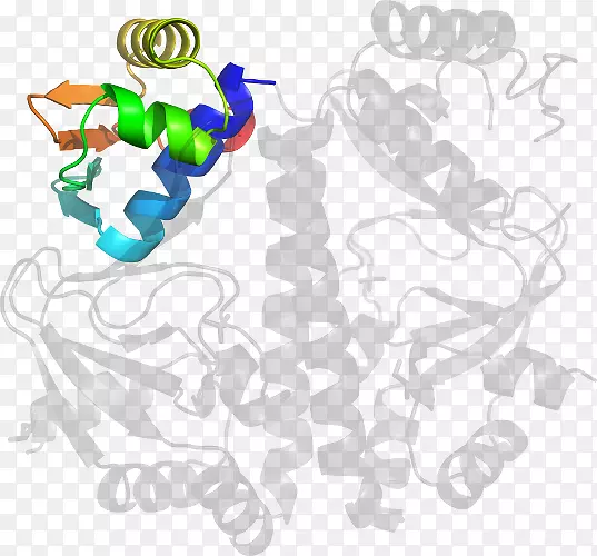 ƽ����Ƽ�����.���-������