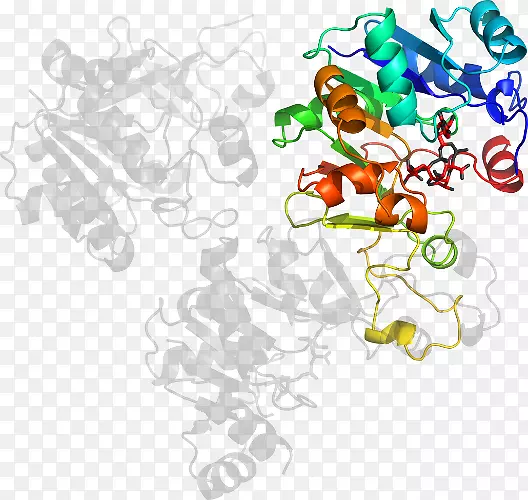 ʳ����������-��-������