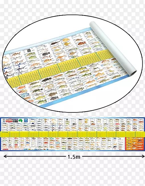 ͳ�����ڰĴ�������������-����-������