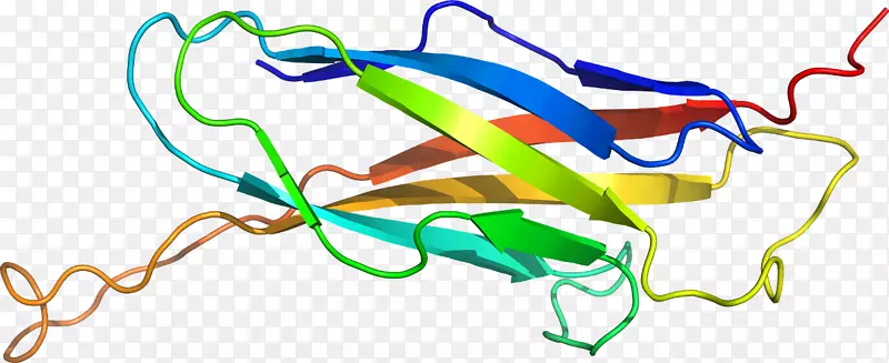 �ߵ������-��-������