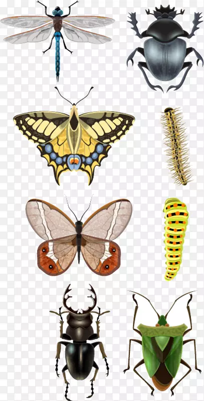 �׳�ͼ.��ͨ����-������