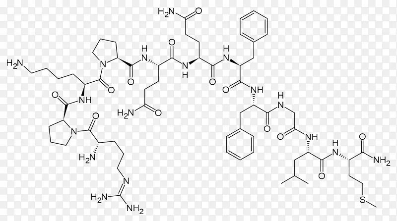 P�����ټ����񾭵�������-��������-������