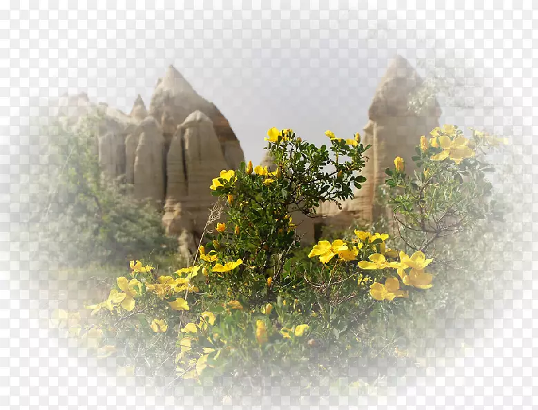 ���������ֽ����-����-������