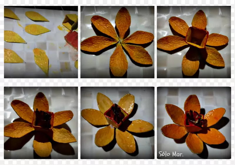 ����Գ�ͼ��-����-������