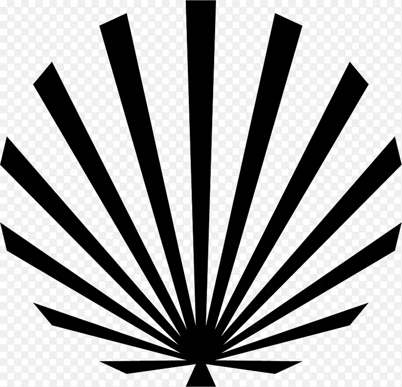 ������Ƭ���˲���-��-������