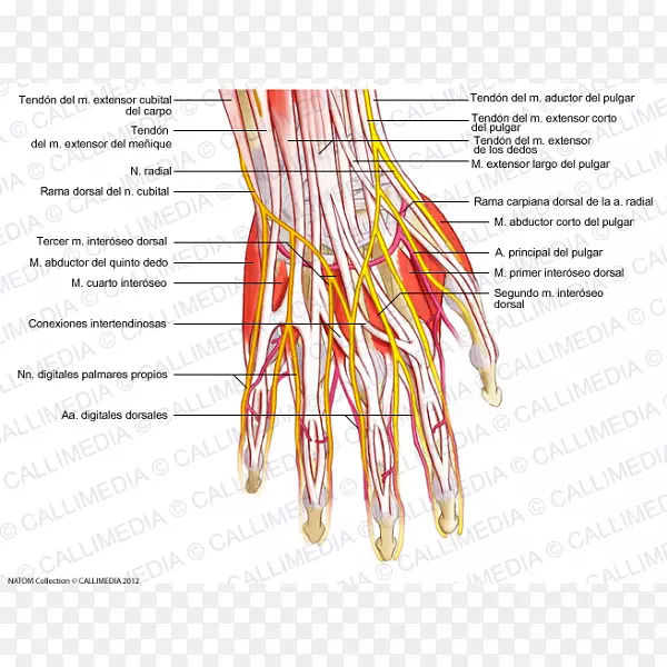 ָ��ָ���ܶ�������ϵͳ��-������