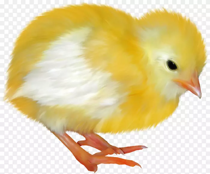 �����͸���ڼ�����-��-������