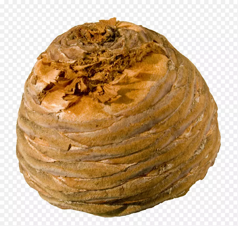 ����Ʒ�決.̼����-������