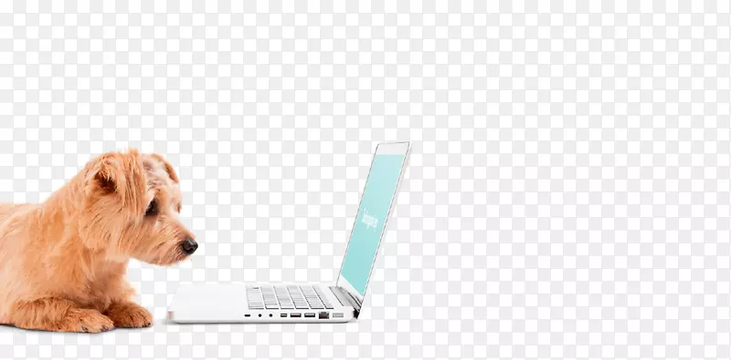 �������ӽ�С��-������